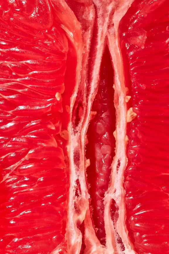 Can You Have Sex During Your Period?